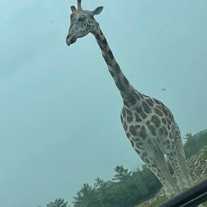 Meet your Posher, Tajinder